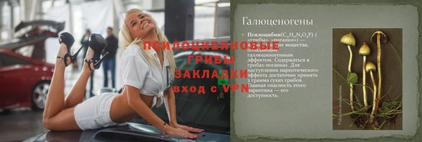 ПСИЛОЦИБИНОВЫЕ ГРИБЫ Балабаново