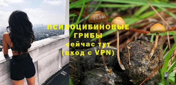 ПСИЛОЦИБИНОВЫЕ ГРИБЫ Балабаново